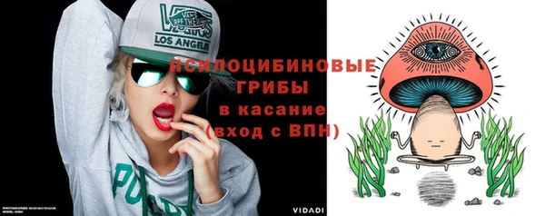 стафф Бронницы