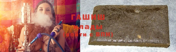крисы Бородино