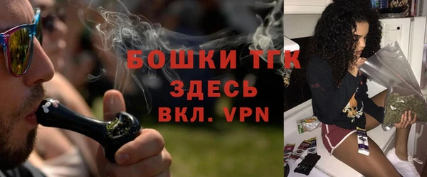крисы Бородино