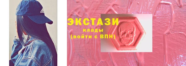 крисы Бородино