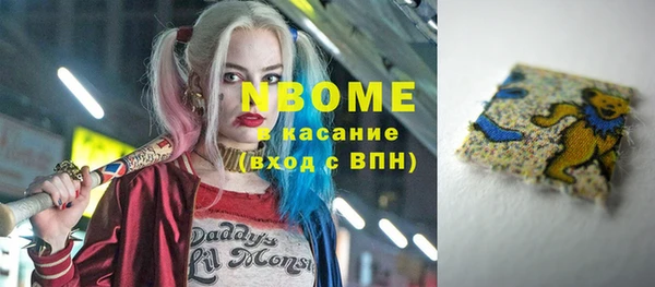 крисы Бородино