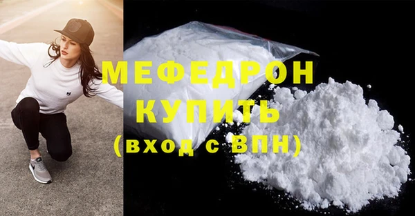 крисы Бородино