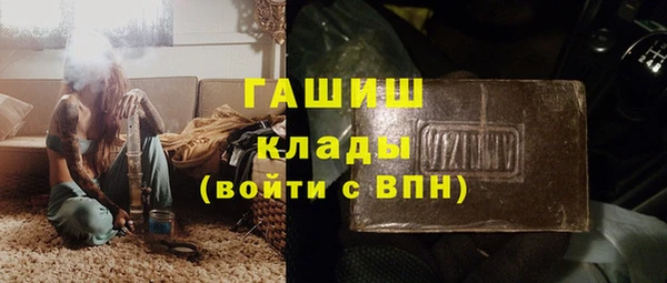 крисы Бородино