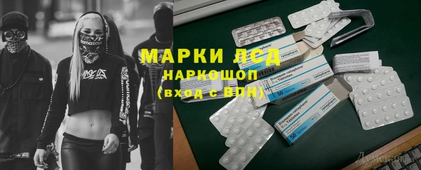 крисы Бородино