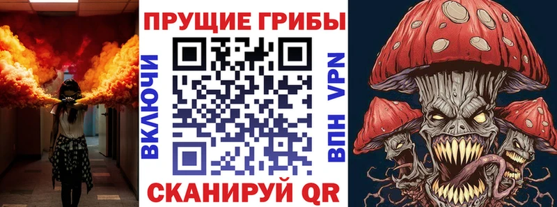 Купить где  Кубинка  Псилоцибиновые грибы MAGIC MUSHROOMS 